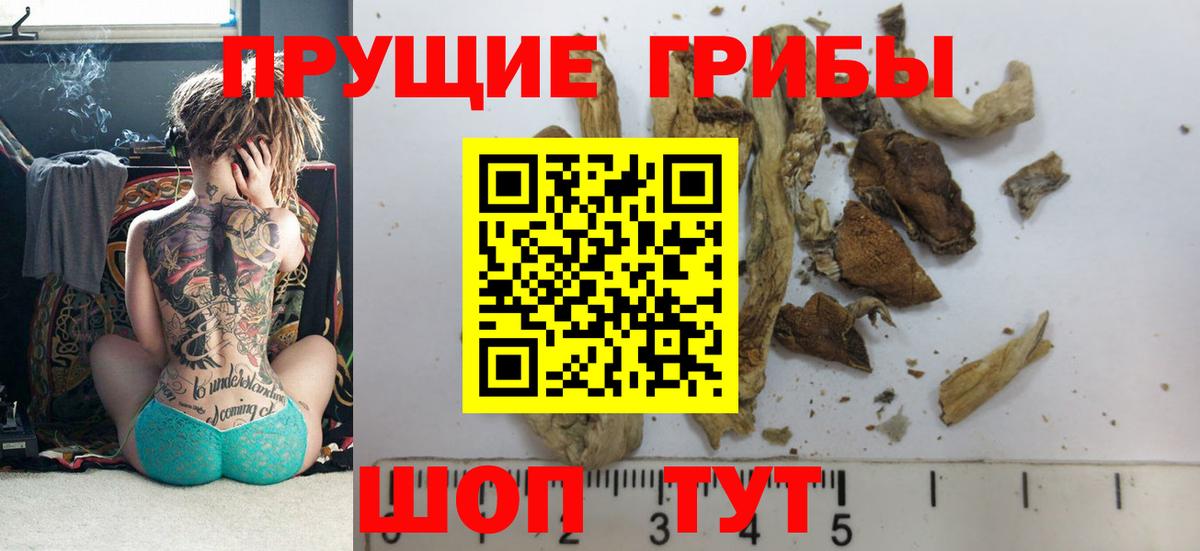 Псилоцибиновые грибы Cubensis  Вход с VPN  Галлюциногенные грибы Psilocybe  Лосино-Петровский 