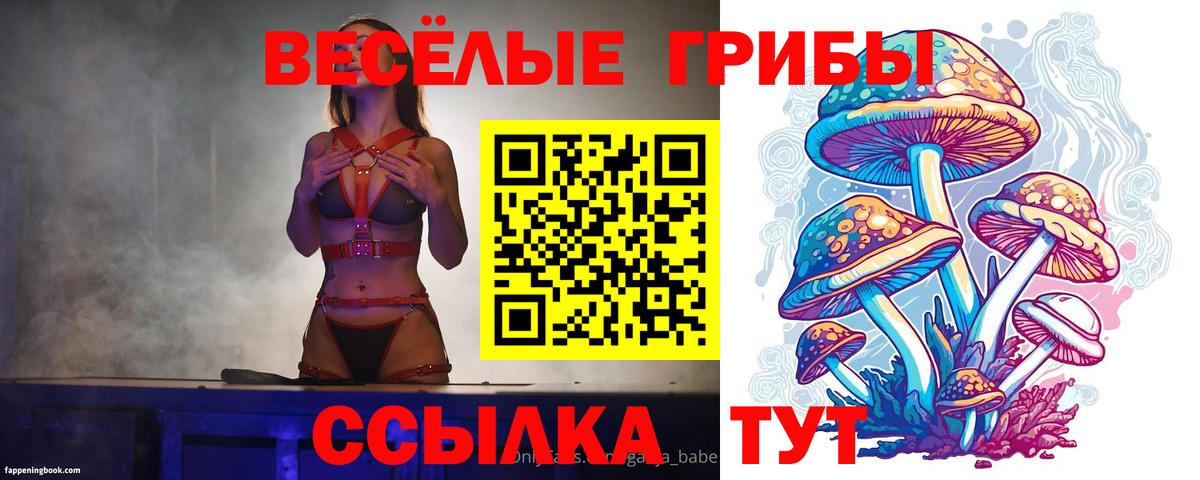 Галлюциногенные грибы прущие грибы Лосино-Петровский